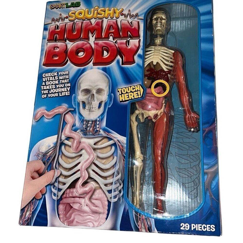 SmartLab Multicolor 29Pcs Educational Squishy Human Body Anatomy Model Kit 12"